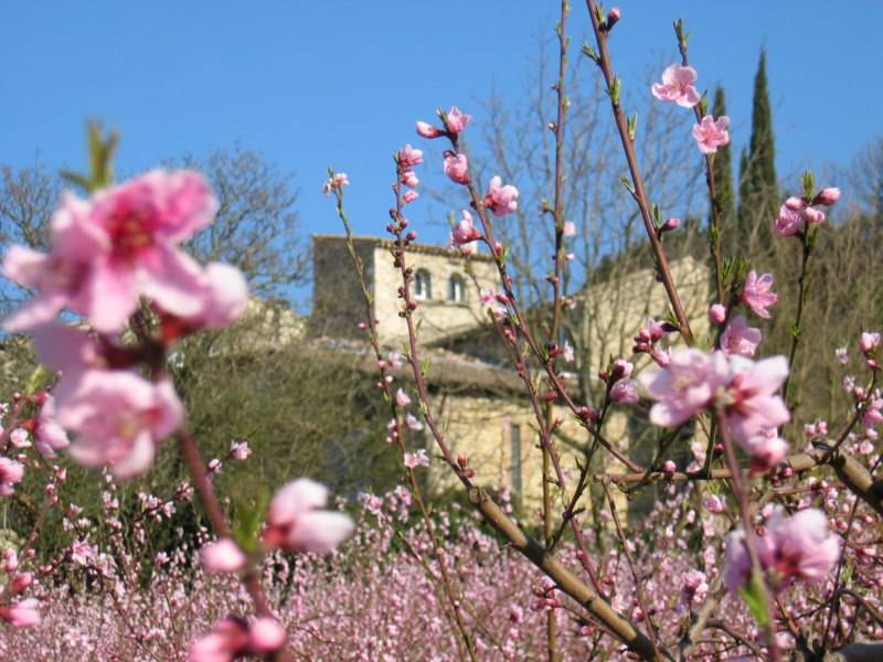 A Retreat Gem in the French Countryside