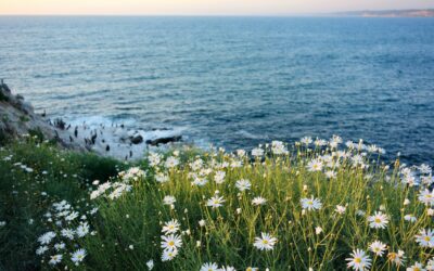 Your Retreat Needs More Space, Not More Stuff